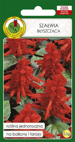 O.Szałwia błyszcząca czerwona 0,5g