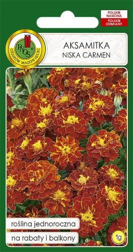 O.Aksamitka pełna niska Carmen 1g