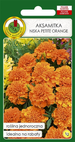 O.Aksamitka Pełna niska Petite Orange 1g