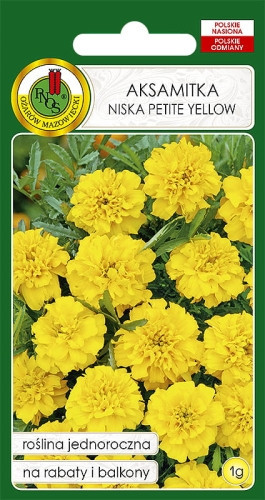 O.Aksamitka pełna Petite Yellow 1g