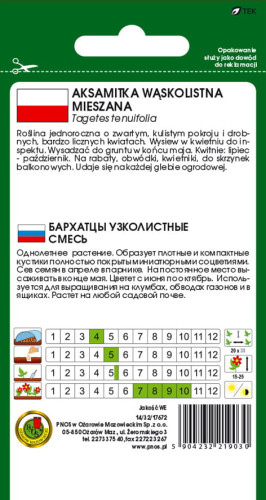 O.Aksamitka wąskolist. Starfire 0,5g