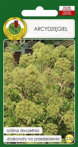 O.Arcydzięgiel 0,3g