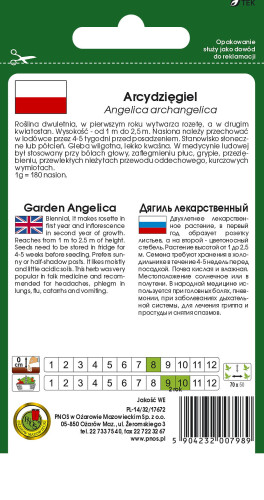 O.Arcydzięgiel 0,3g