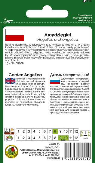 O.Arcydzięgiel 0,3g