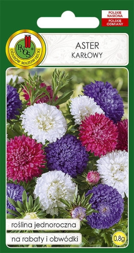 O.Aster karłowy mix 0,8g