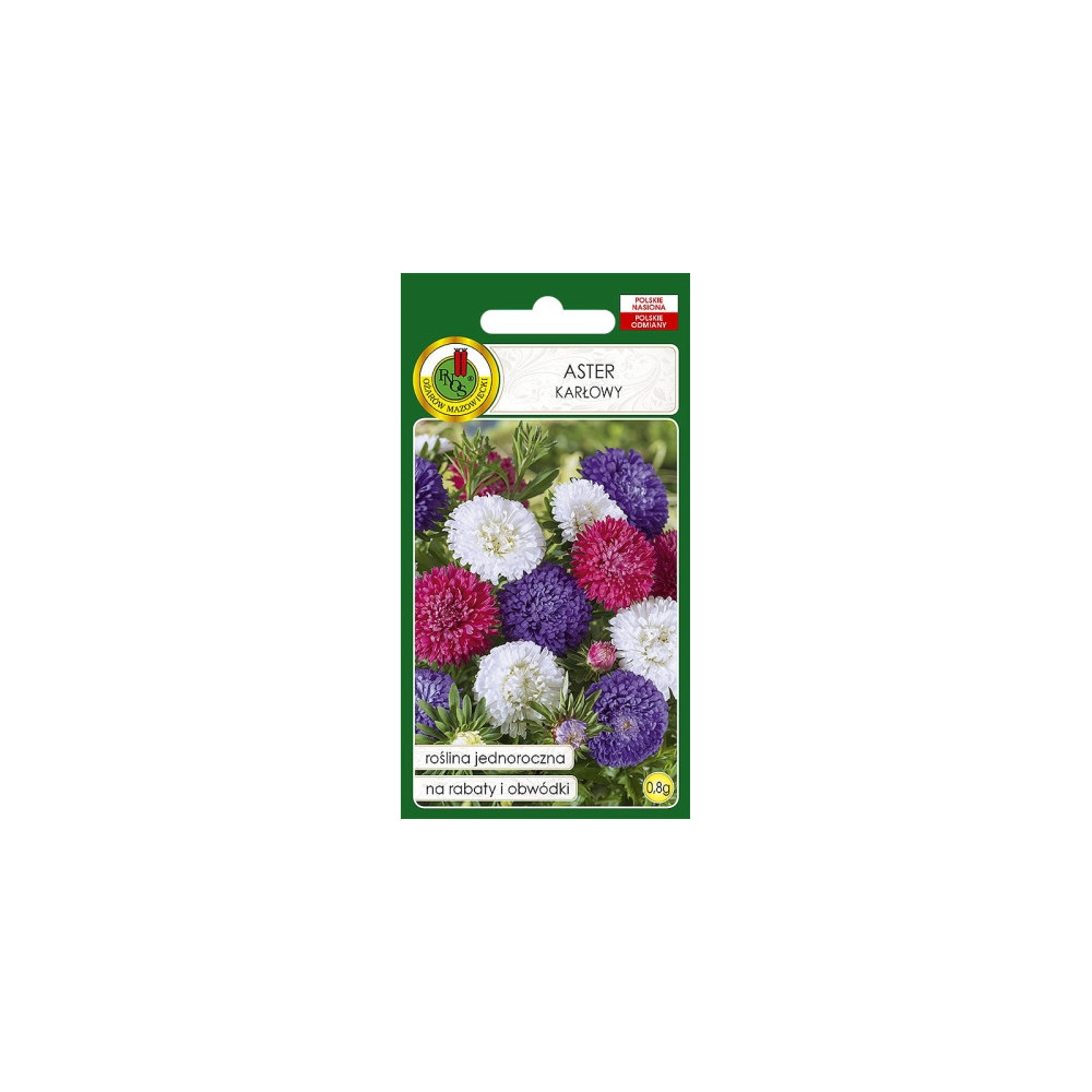 O.Aster karłowy mix 0,8g