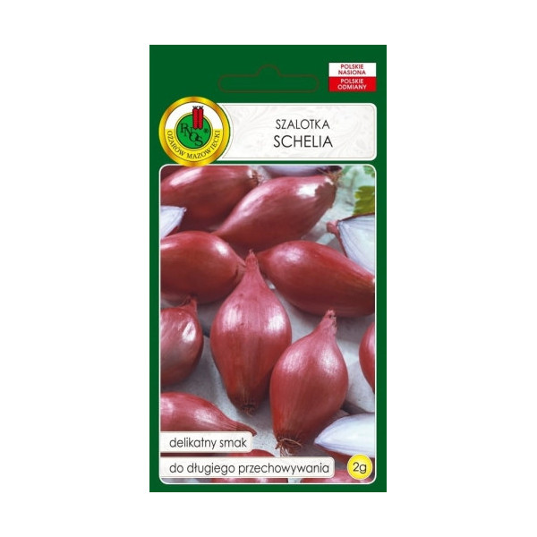 O.Cebula szalotka Schelia 2g 4-0051-90042-01 st d.w.02/26 z.k.83%
