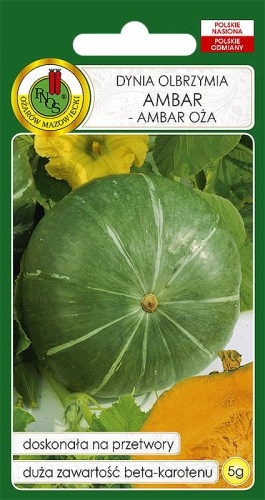 O.Dynia Olbrzymia Ambar OŻA 5g PL114/32/17672/3134/A ST d.w.07/26 z.k.92%