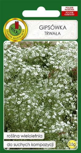O.Gipsówka trwała biała 0,5g