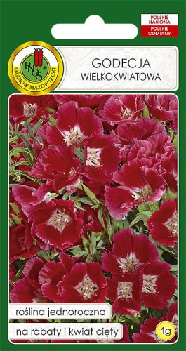 O.Godecja czerwona 1g