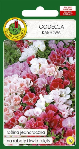 O.Godecja karłowa mix 1g