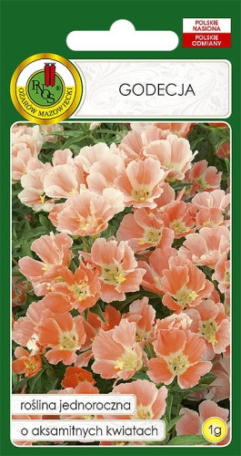 O.Godecja wlkw.Orange Glory 1g