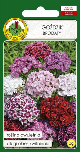 O.Goździk brodaty mix 2g
