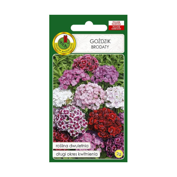 O.Goździk brodaty mix 2g