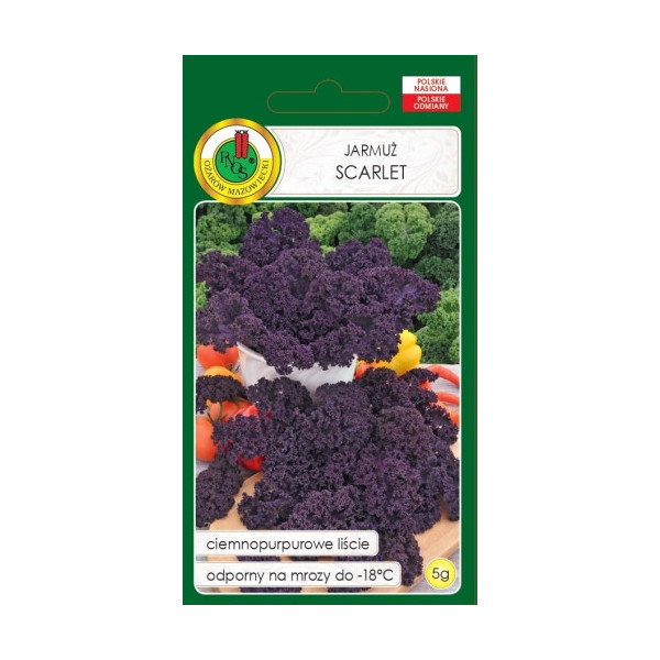 O.Jarmuż czerwony Scarlet 5g RE1239/SG6837 ST d.w.06/26 z.k.92%