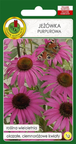 O.Jeżówka Purpurowa 1g