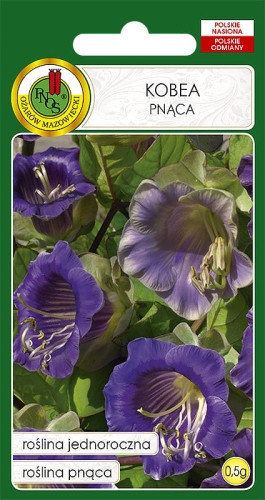 O.Kobea pnąca niebieska 0,5g