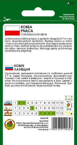 O.Kobea pnąca niebieska 0,5g