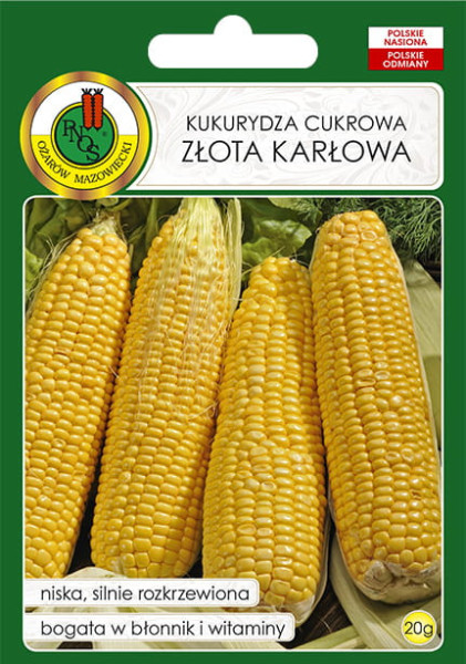 O.Kukurydza cukrowa zlota karłowa 20g PL302/05/16/HR14 st d.w.06/26 z.k.89%
