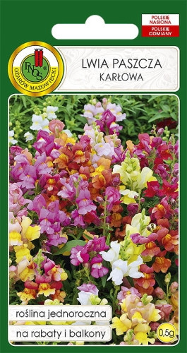 O.Lwia paszcza karłowa mix 0,5g