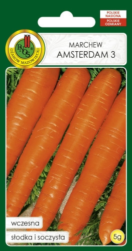 O.Marchew jadalna Amsterdam 3 5g PL314/32/17676/5094/A st d.w.05/26 z.k.83%