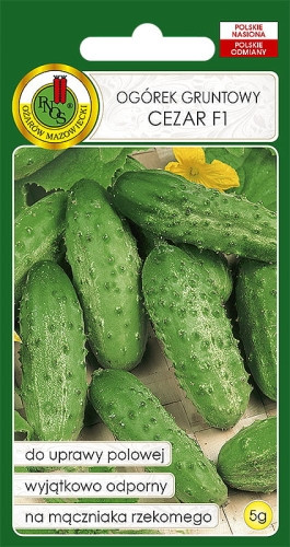 O.Ogórek Cezar F1 5g.DE 800 16220224802 ST PNOS/80/2023 95,00 14/02/2024