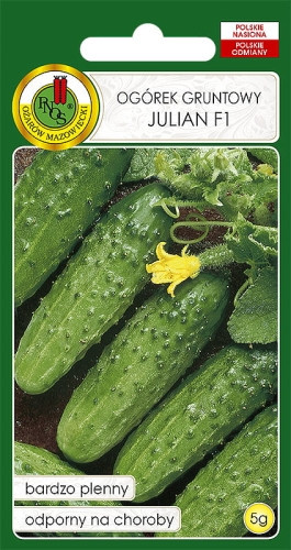 O.Ogórek Julian F1 5g PL414/32/83/WO22 st d.w.09/26 z.k.95%